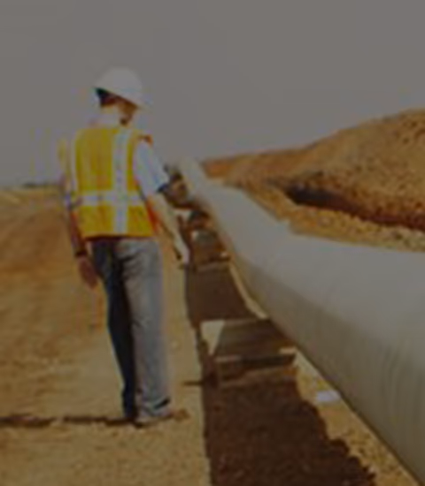Field Services